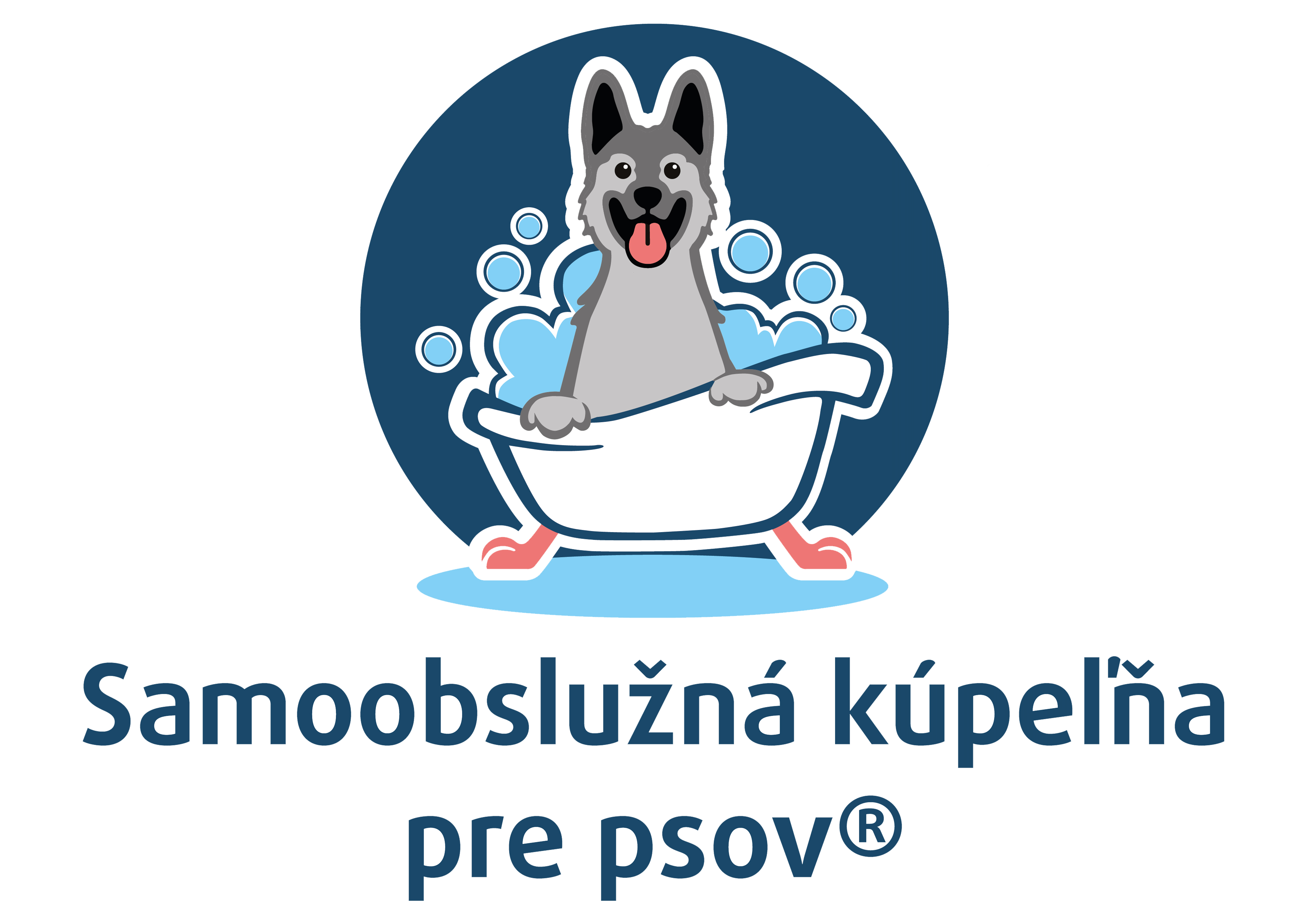 Partner logo